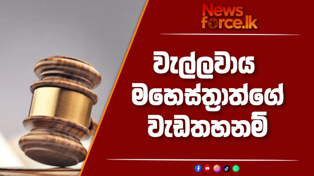වැල්ලවාය මහෙස්ත්රාත්ගේ වැඩතහනම්.