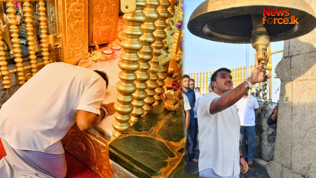 පොහොට්ටුවේ නඩේගුරා වෙමින් නාමල් සිරිපා කරුණා කරයි