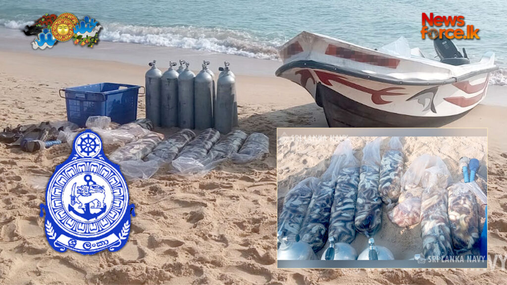 නීතිවිරෝධී ලෙස රාත්රී කාලයේ කිමිදීමුහුදු කූඩැල්ලන් ඇල්ලූ පුද්ගලයින් 06 දෙනෙකුනාවික හමුදා අත්අඩංගුවට