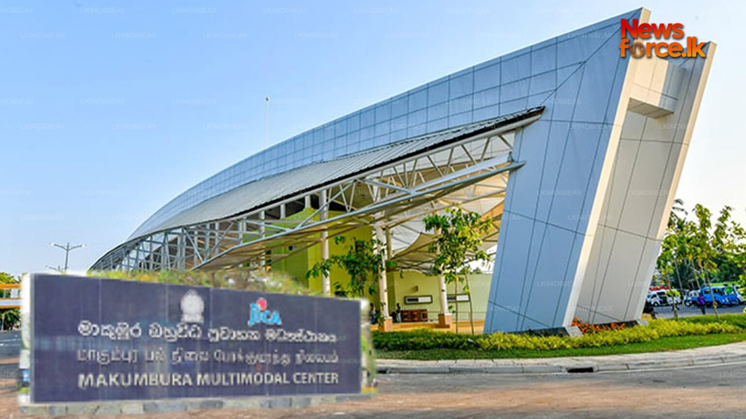 55,000ක් මාකුඹුරෙන් අලුත් අවුරුද්දට ගමේ ගිහින්…