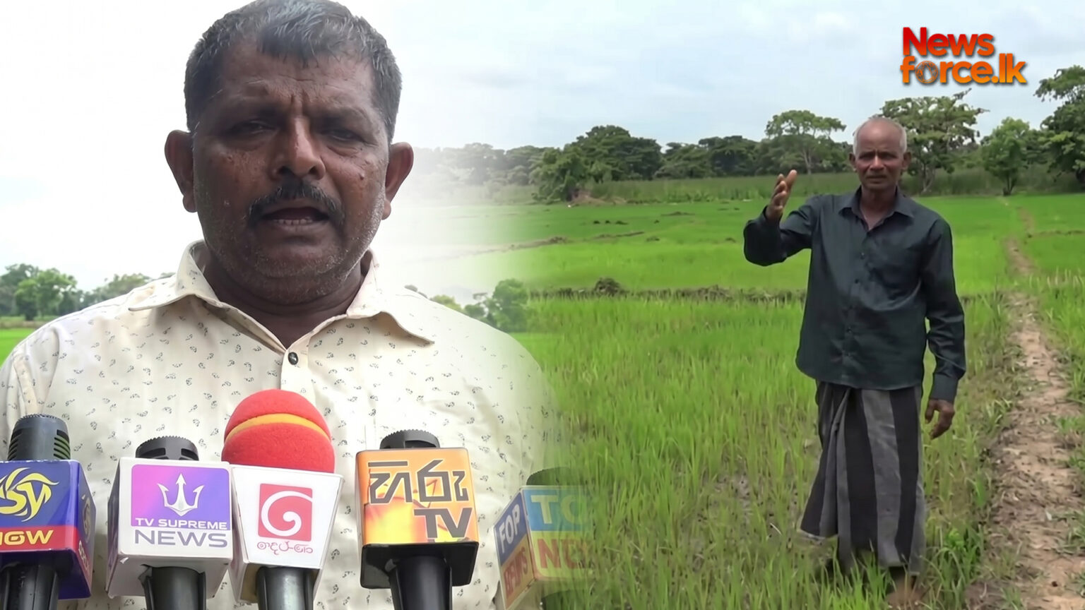 විසඳුම් නොදුන්නොත් කොළඹට එන බවට ගොවීන්ගෙන් අනතුරු ඇඟවීමක්