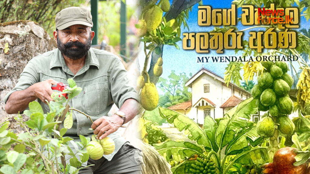 රංජිත් සියඹලාපිටියගේ ‘මගේ වැන්දල පලතුරු අරණ’ – පරම්පරා ගණනාවක වගා ශිල්පයට පොහොසත් උපහාරයක්