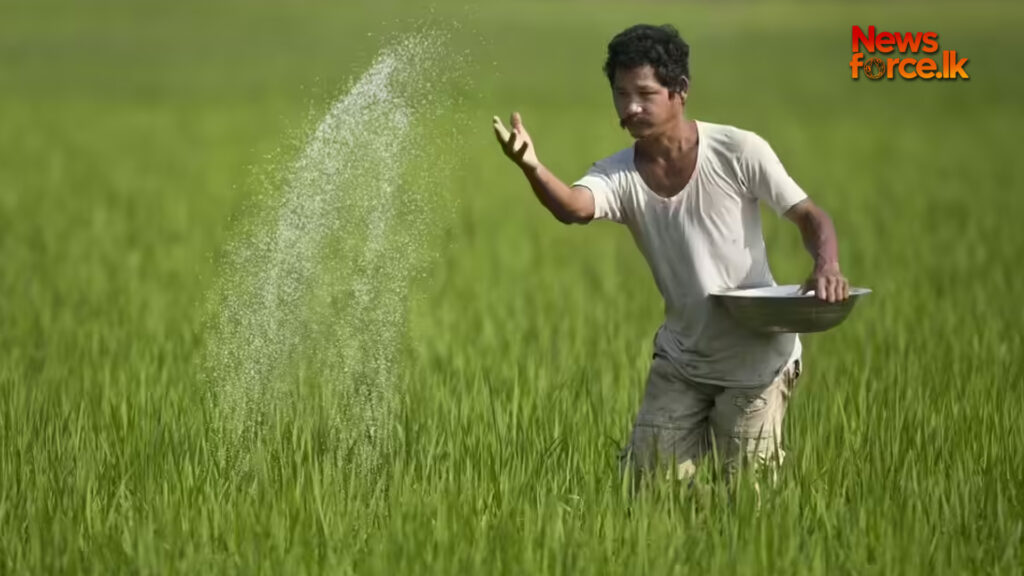 පොහොර බෙදාහැරීමට පෞද්ගලික අංශය යොදා ගැනීමට රජයෙන් තීරණයක්