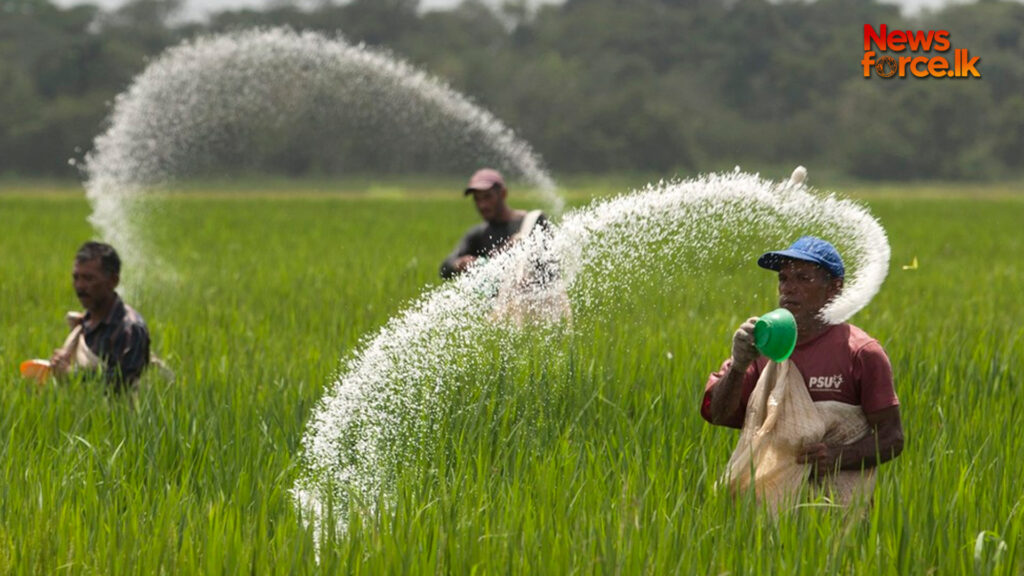 කෝටි අසූදහසක වැඩි මිල පොහොර ගොවියාගේ හිස මතට