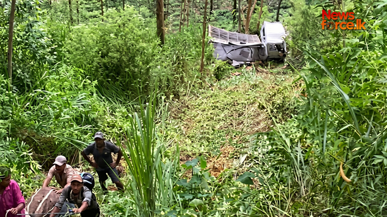තලවකැලේ තේ දළු ප්රවාහනය ලොරි රථයක් ප්රපාතයට